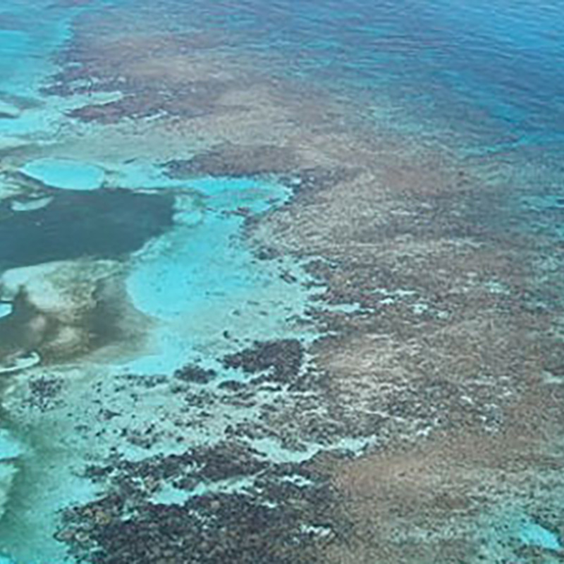 Image of The Dangerous Shoals of the Florida Keys