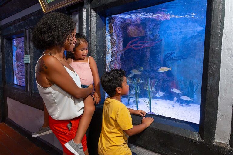 family looking at Key West Aquarium tanks